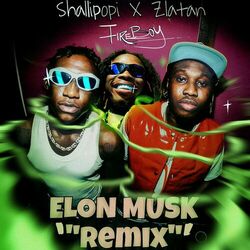 Cover of Elon Musk (feat. Fireboy DML) (Remix)