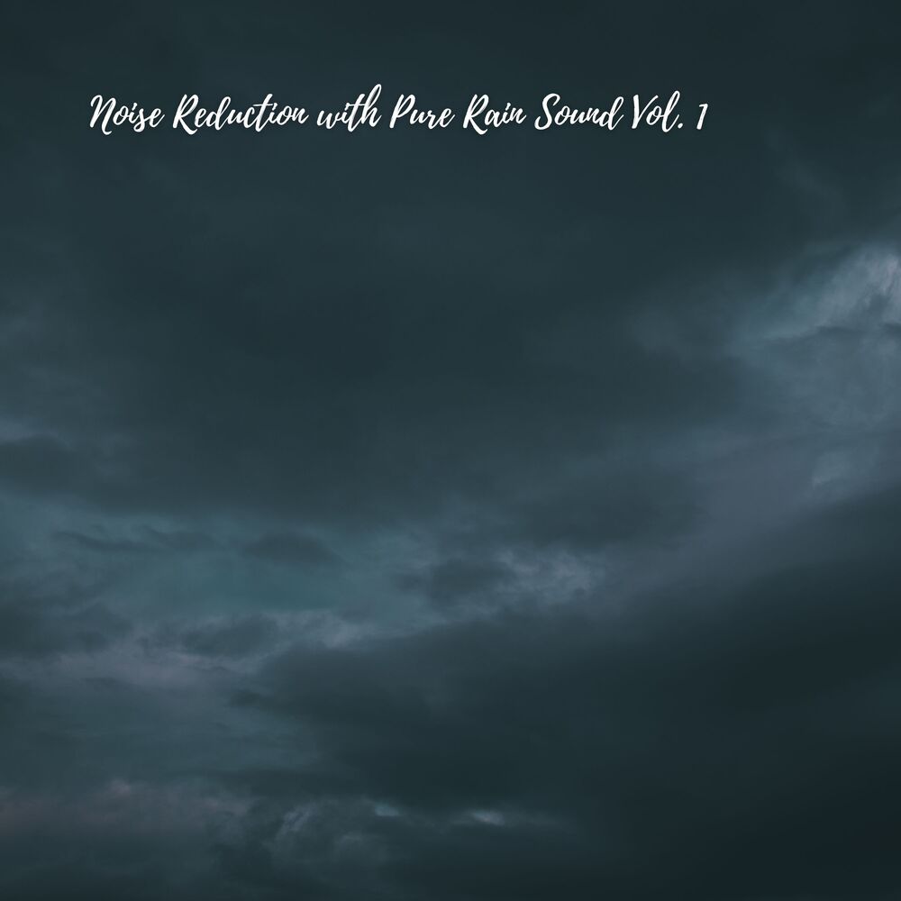 Picture of Noise Reduction with Pure Rain Sound Vol. 1