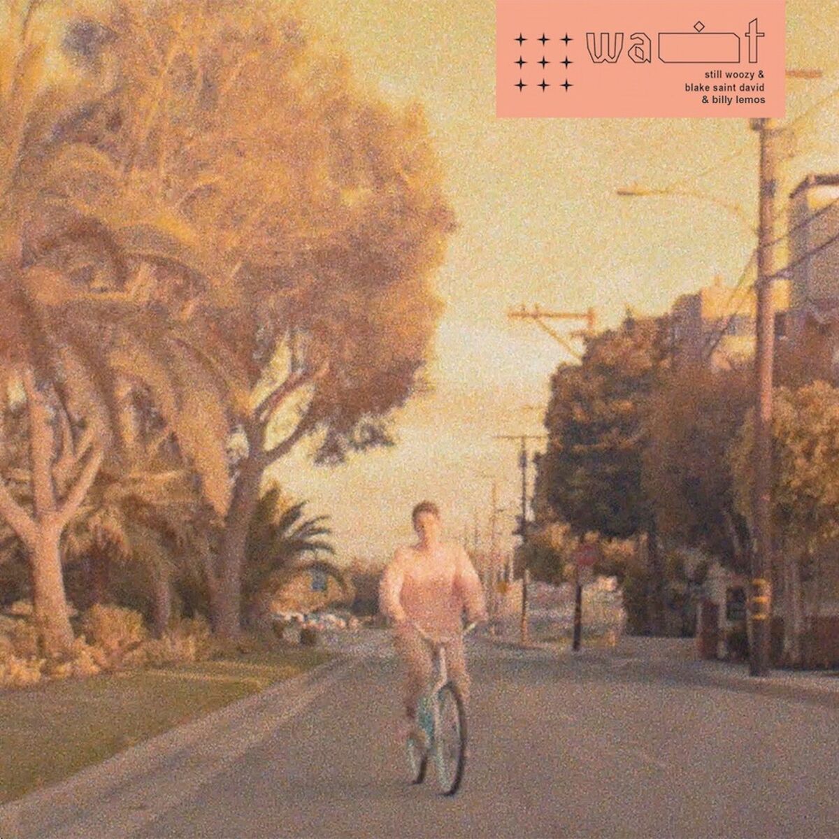 Album cover of Wait