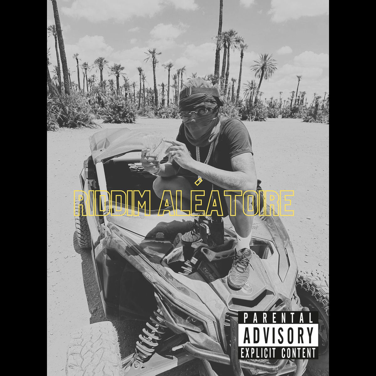 Album cover of Riddim Aleatoire