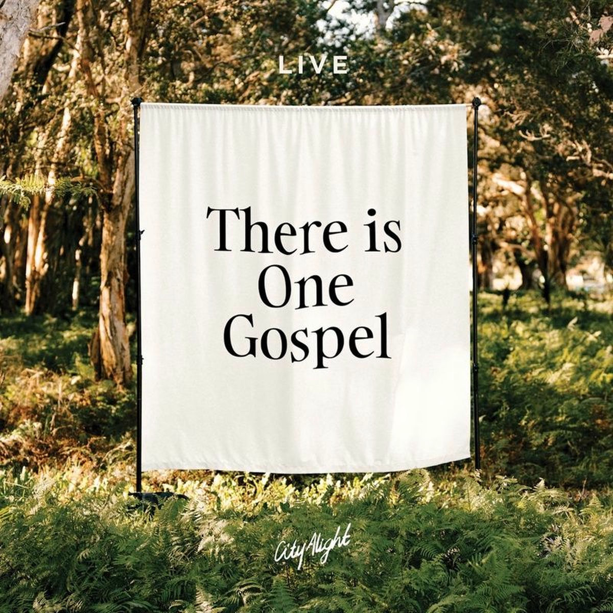 Album cover of There Is One Gospel (Live)