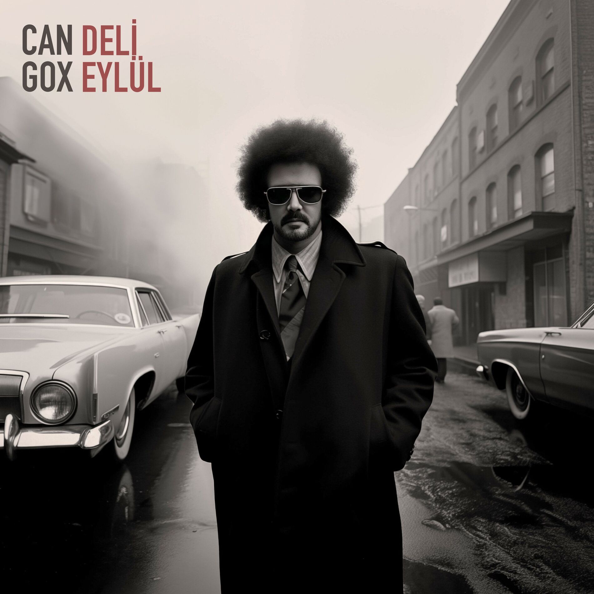 Album cover of Deli Eylül