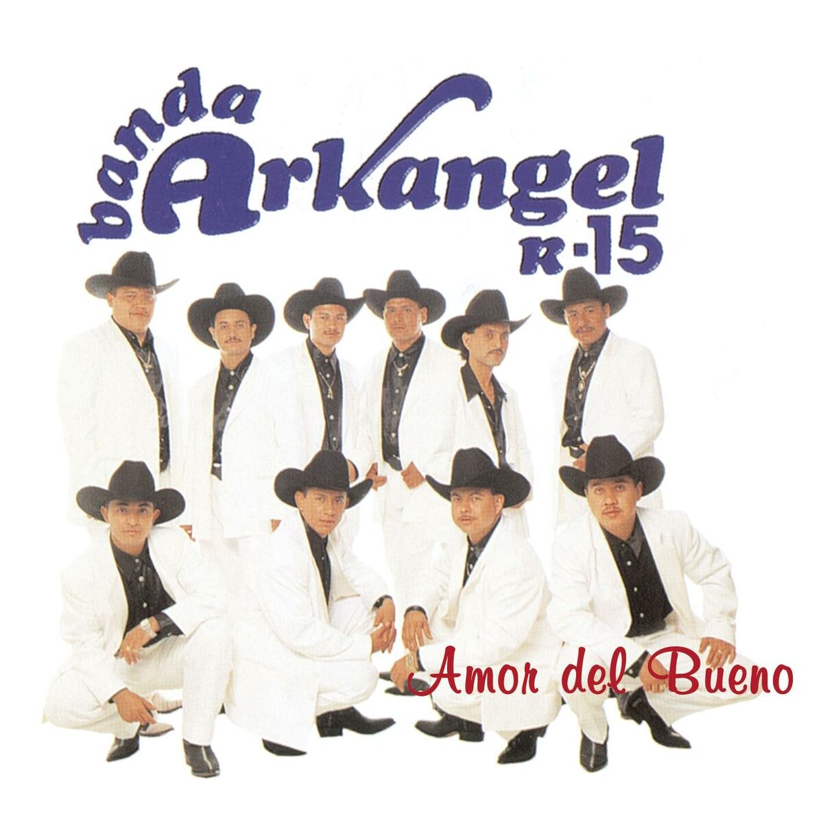 Album cover of Amor Del Bueno