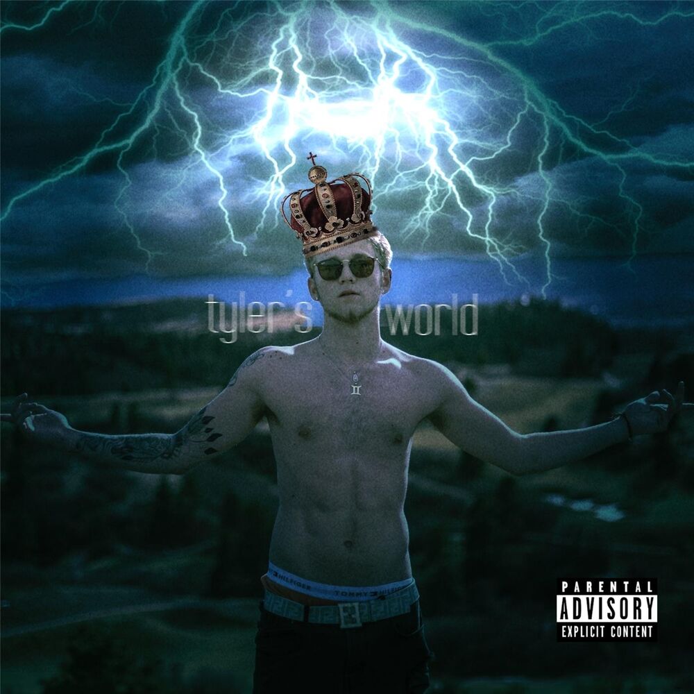 Picture of Tyler's World
