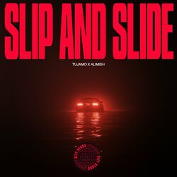 Cover of Slip And Slide