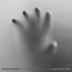 Cover of Haunting You