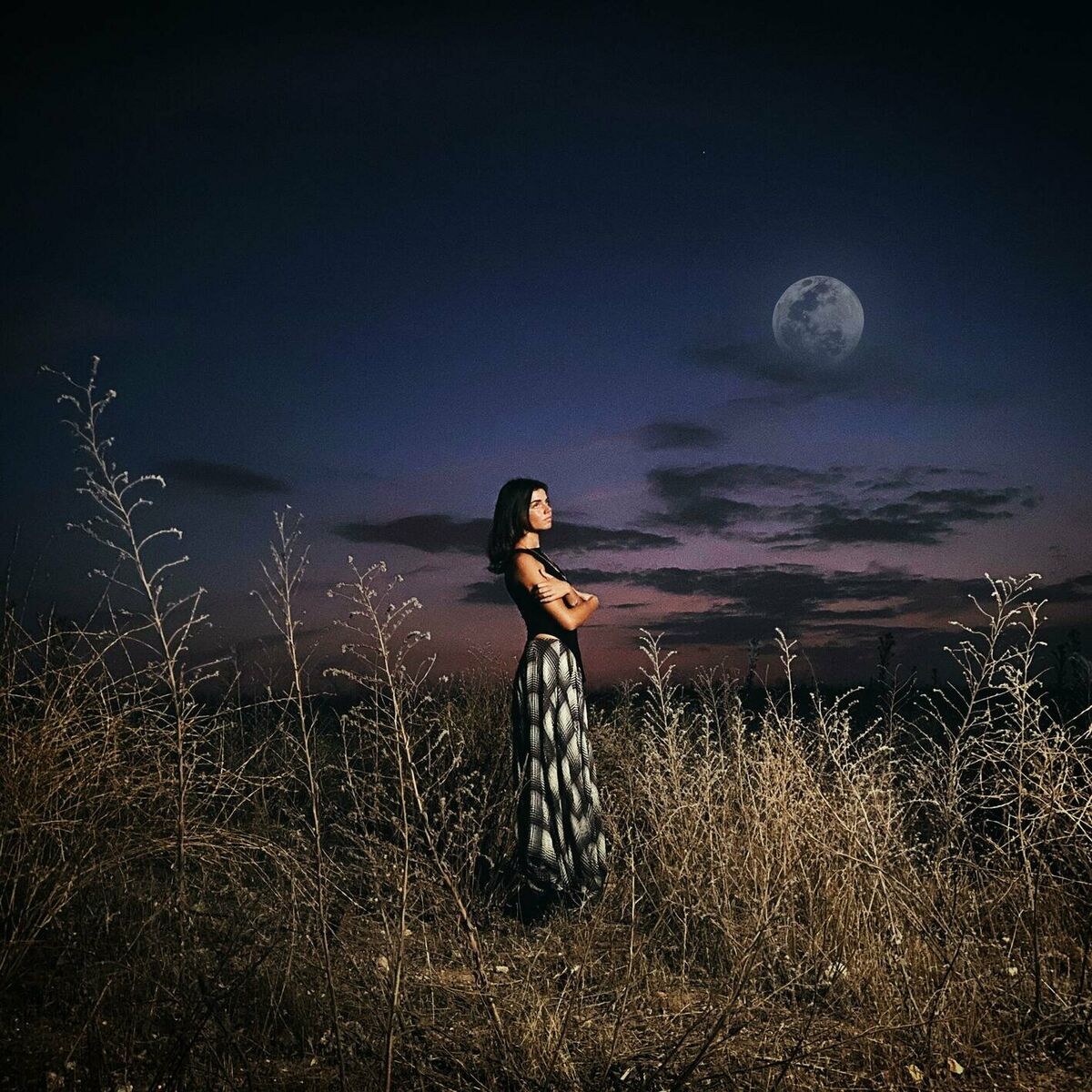 Album cover of vete a la luna