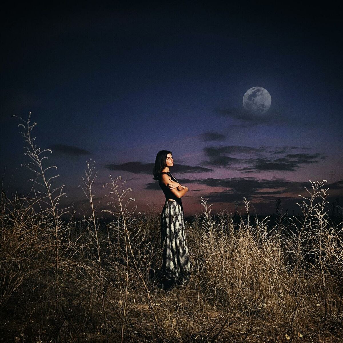 Album cover of vete a la luna