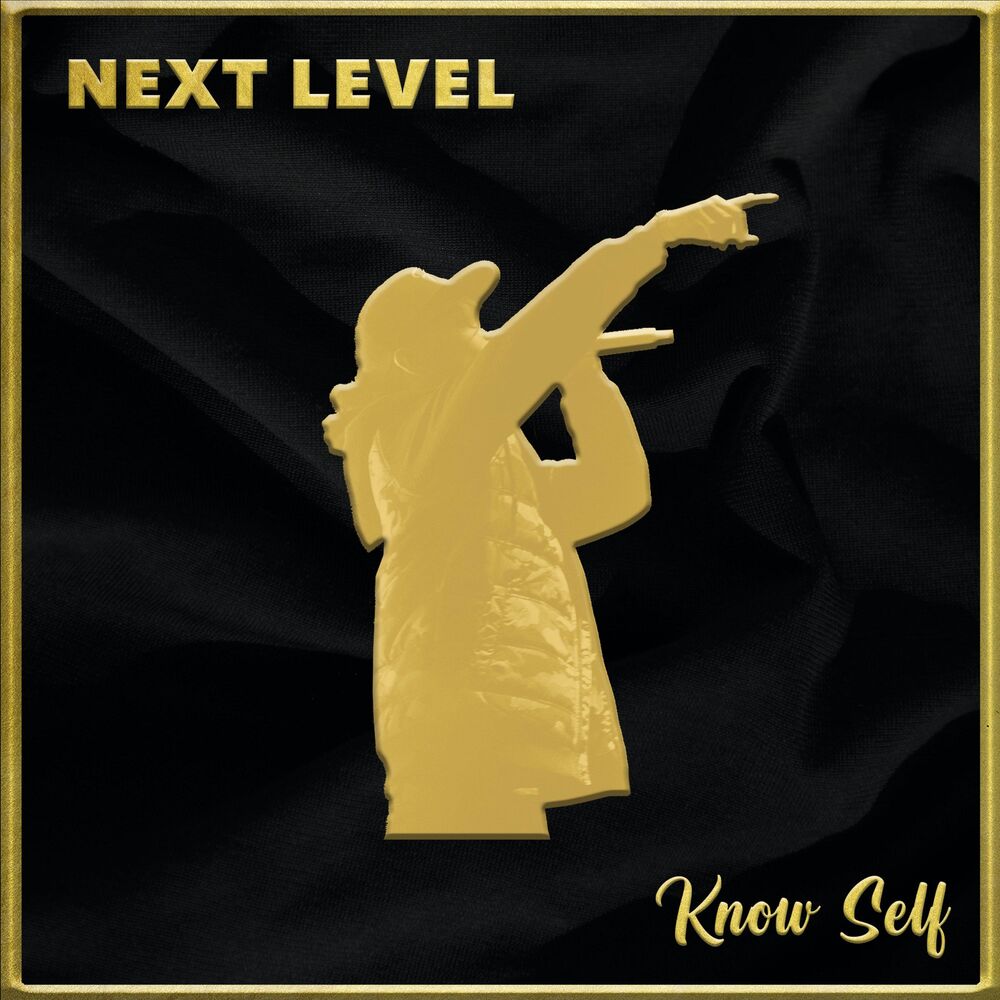 Picture of NEXT LEVEL