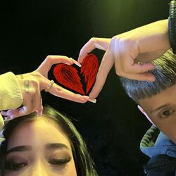 Cover of Tas Texteandome