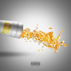 Cover of 2 Crazy