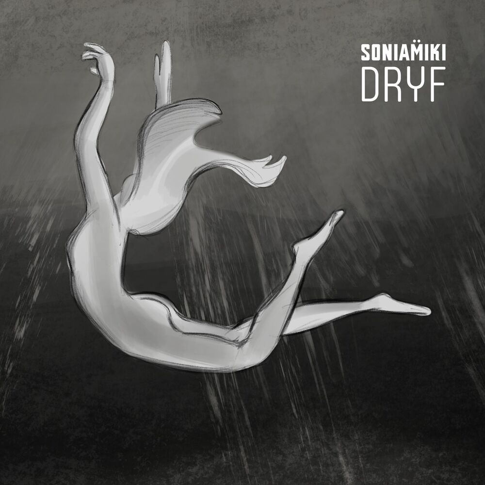 Picture of DRYF