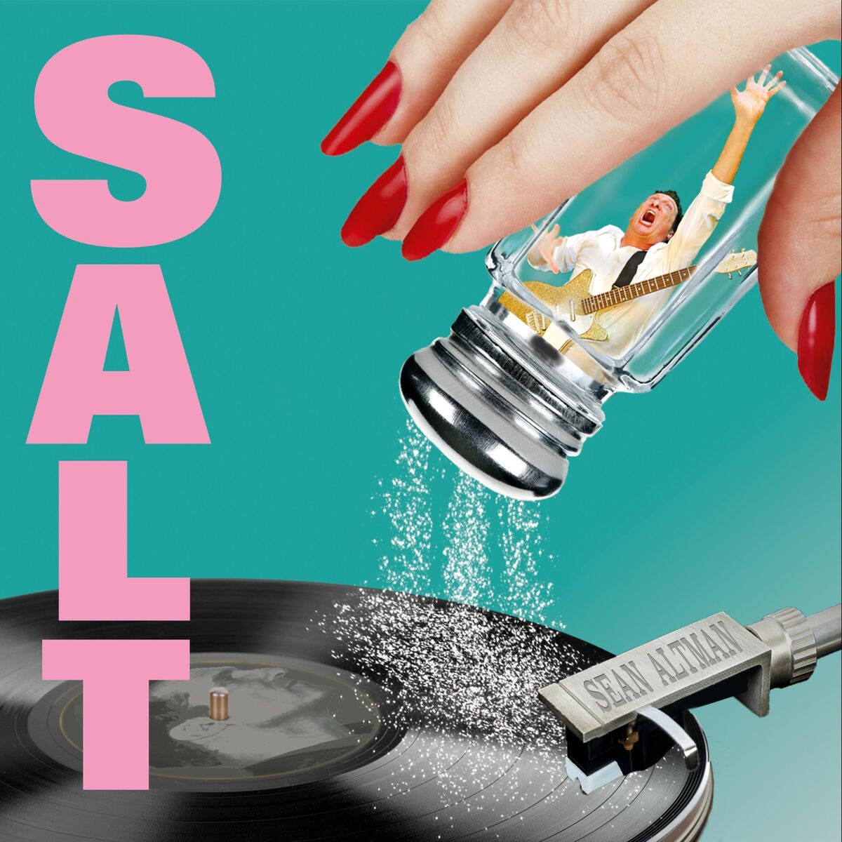 Album cover of Salt