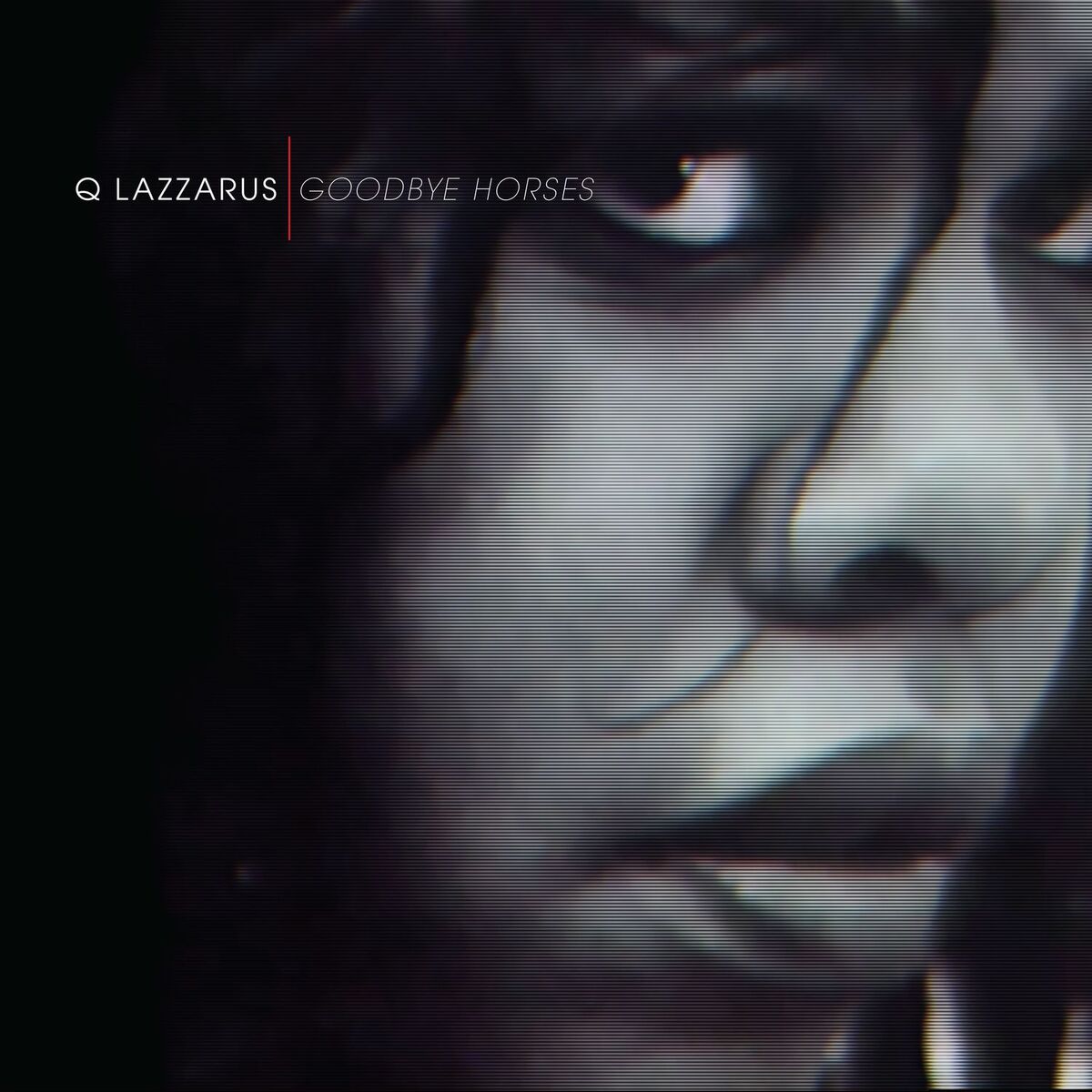 Album cover of Goodbye Horses