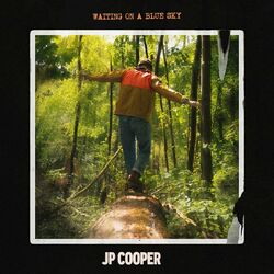 Cover of Waiting On A Blue Sky