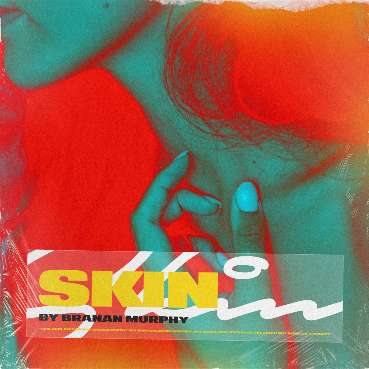 Album cover of Skin