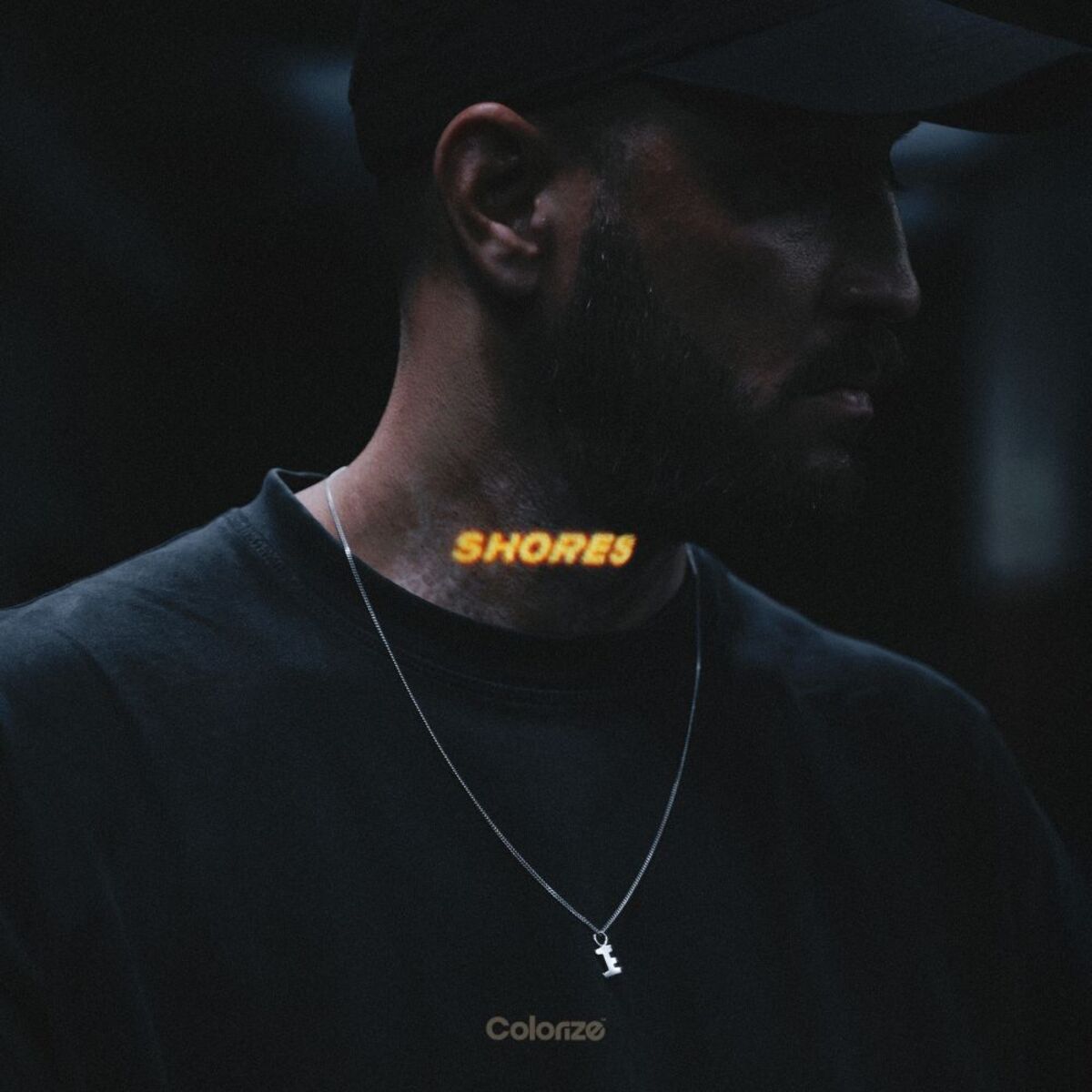 Album cover of Shores