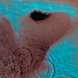Cover of Meddle
