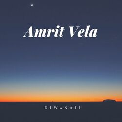 Cover of Amrit Vela