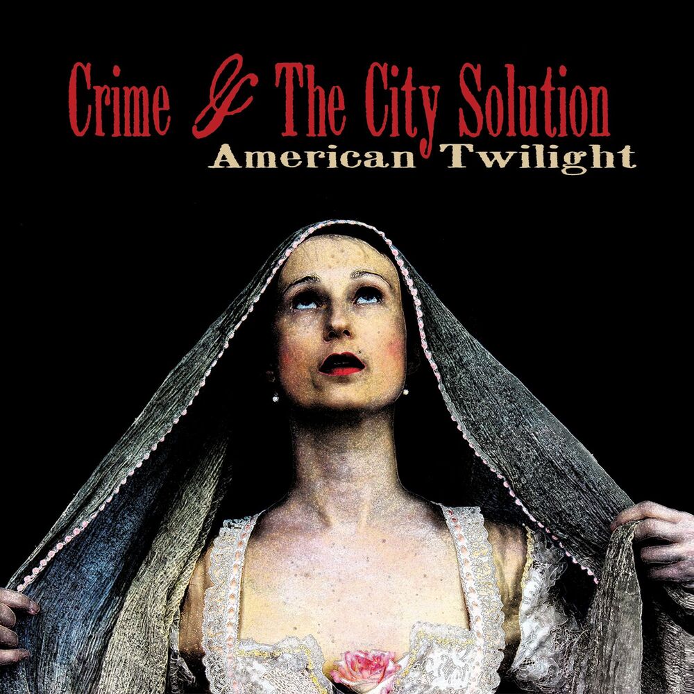 Picture of American Twilight