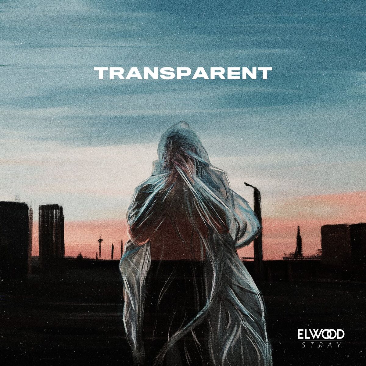 Album cover of Transparent