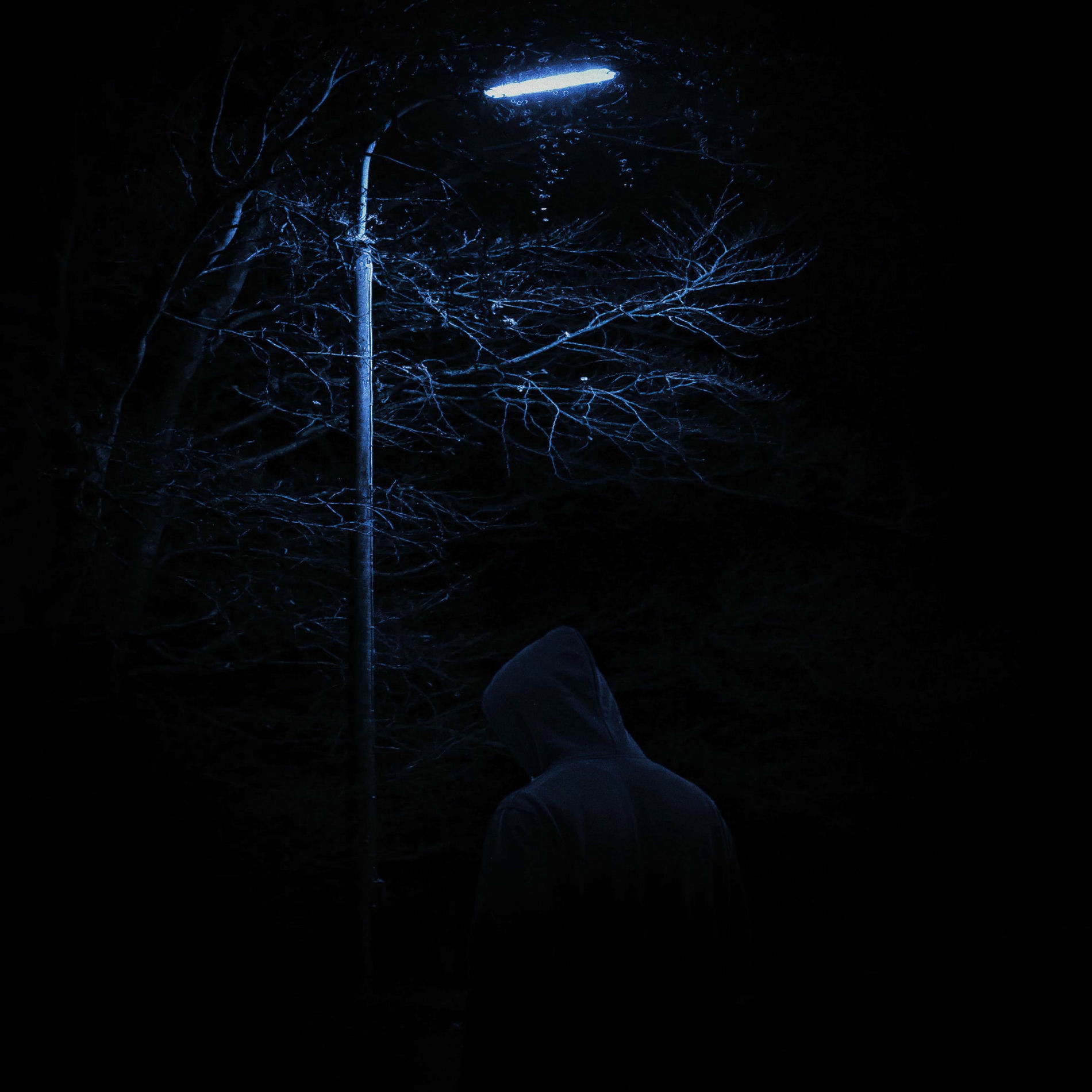 Album cover of Talking To The Dark