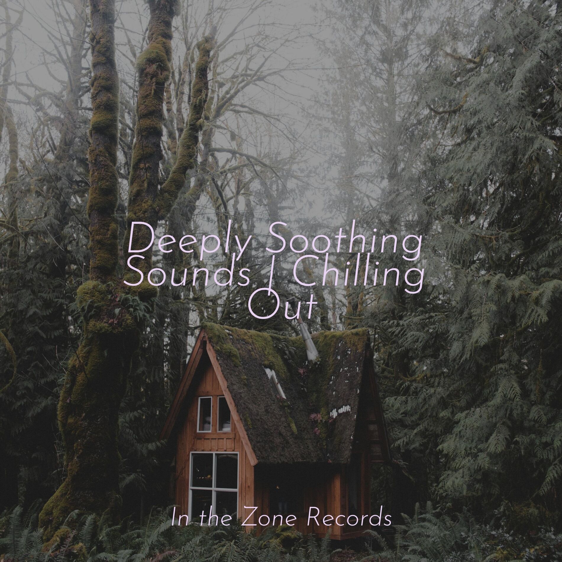 Album cover of Silence Abounds