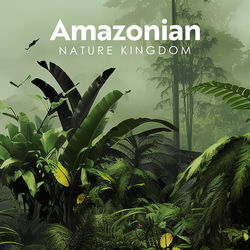 Cover of Amazonian Nature Kingdom: Forest Echoes, Wildlife Nature Relaxation by undefined