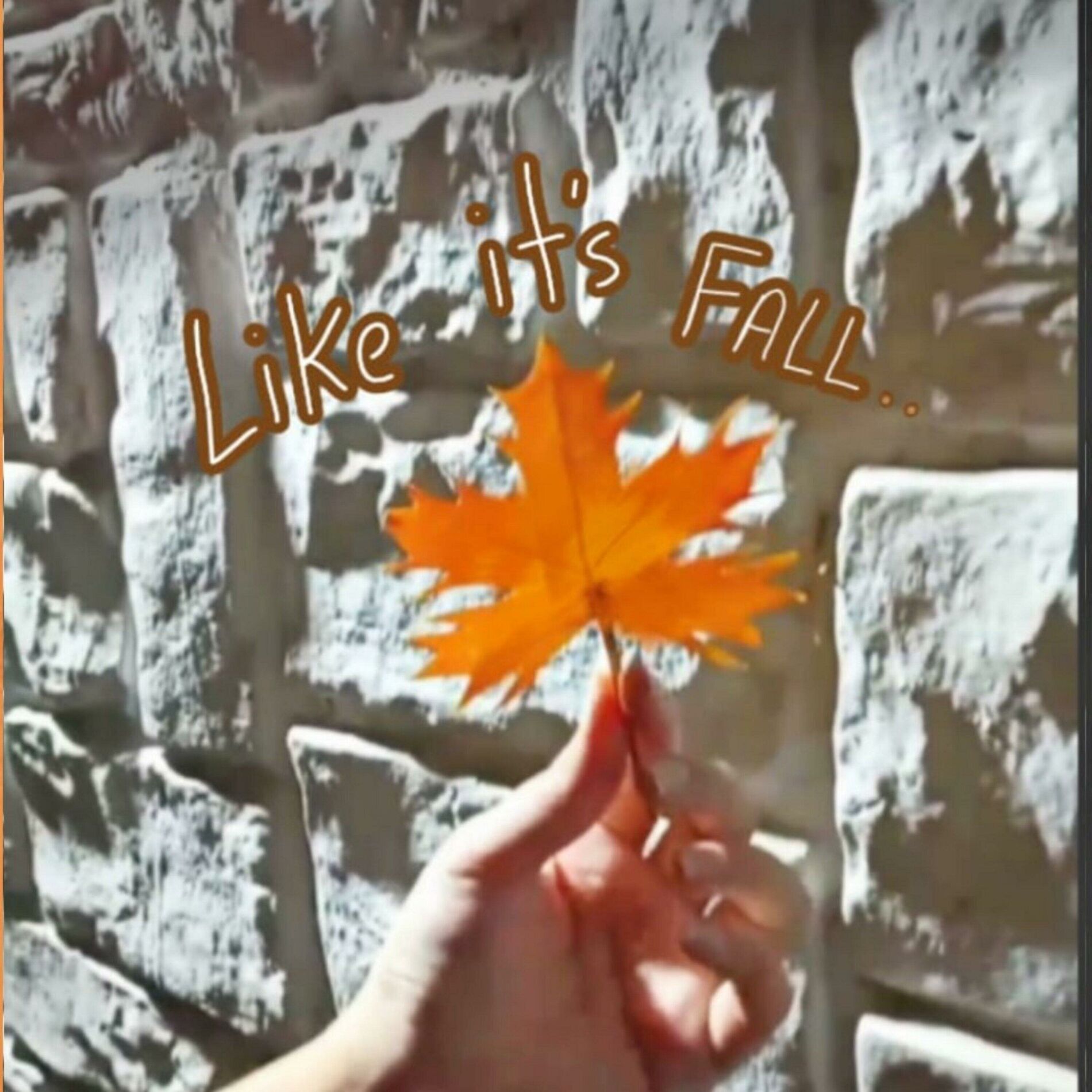 Album cover of Like it's Fall..