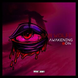 Cover of Awakening