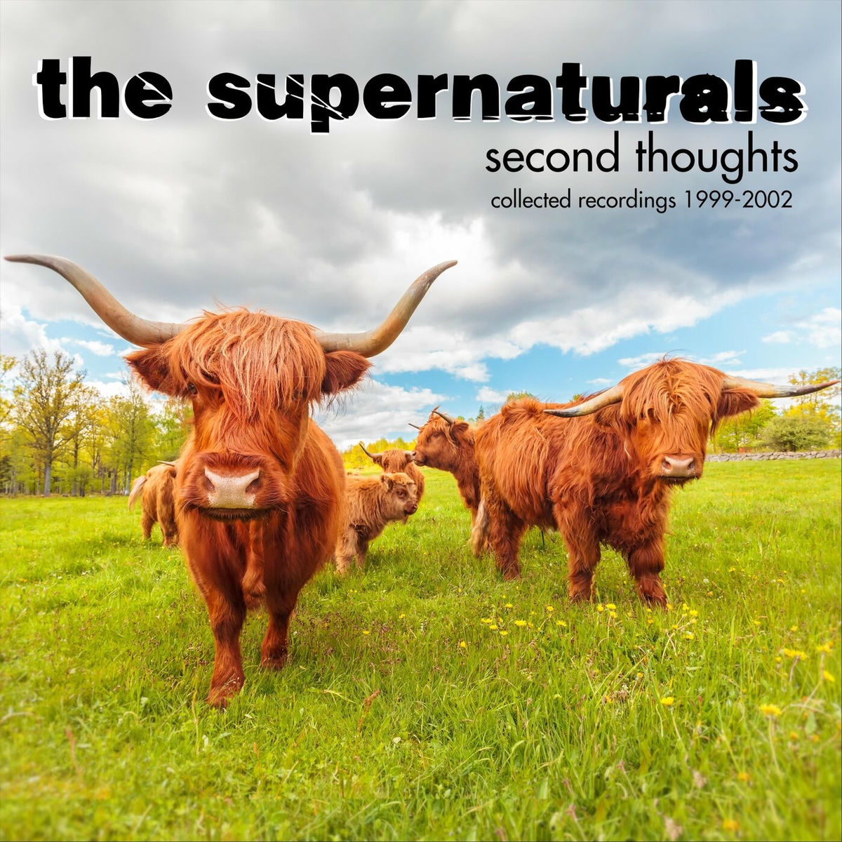 Album cover of Second Thoughts
