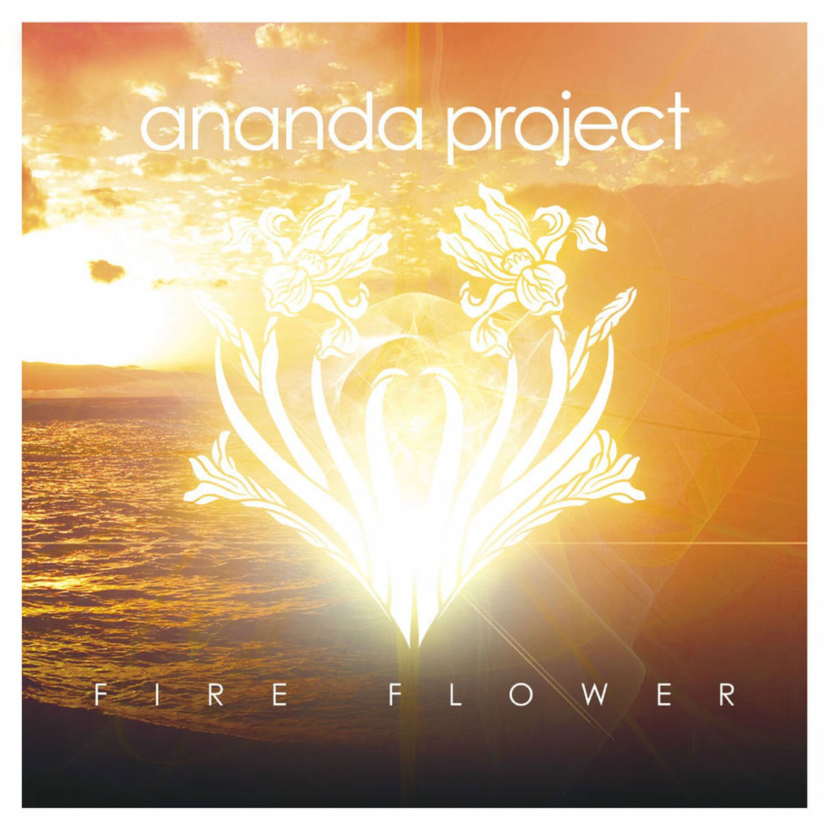Album cover of Fire Flower