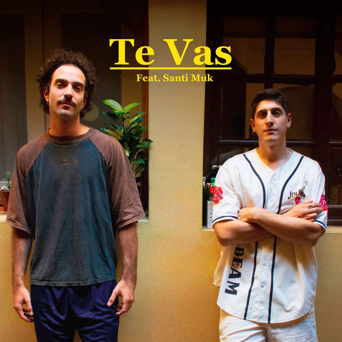 Album cover of Te vas