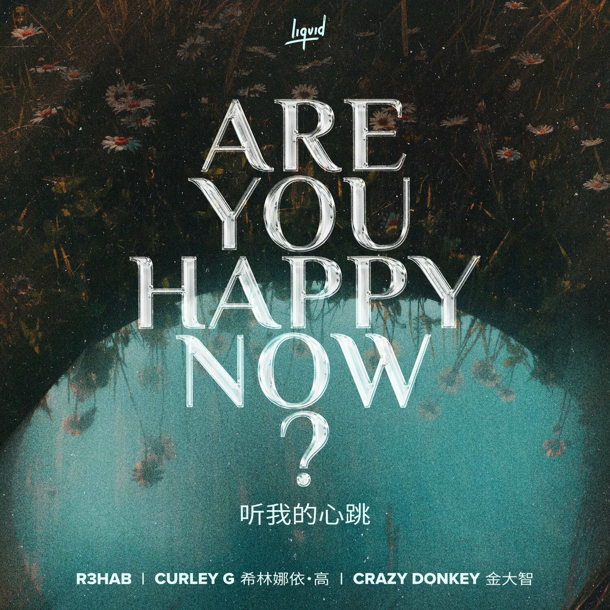 Album picture of Are You Happy Now