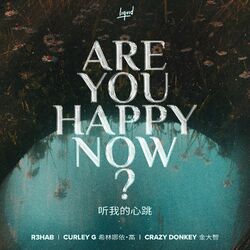 Cover of Are You Happy Now
