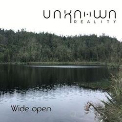 Cover of Wide open