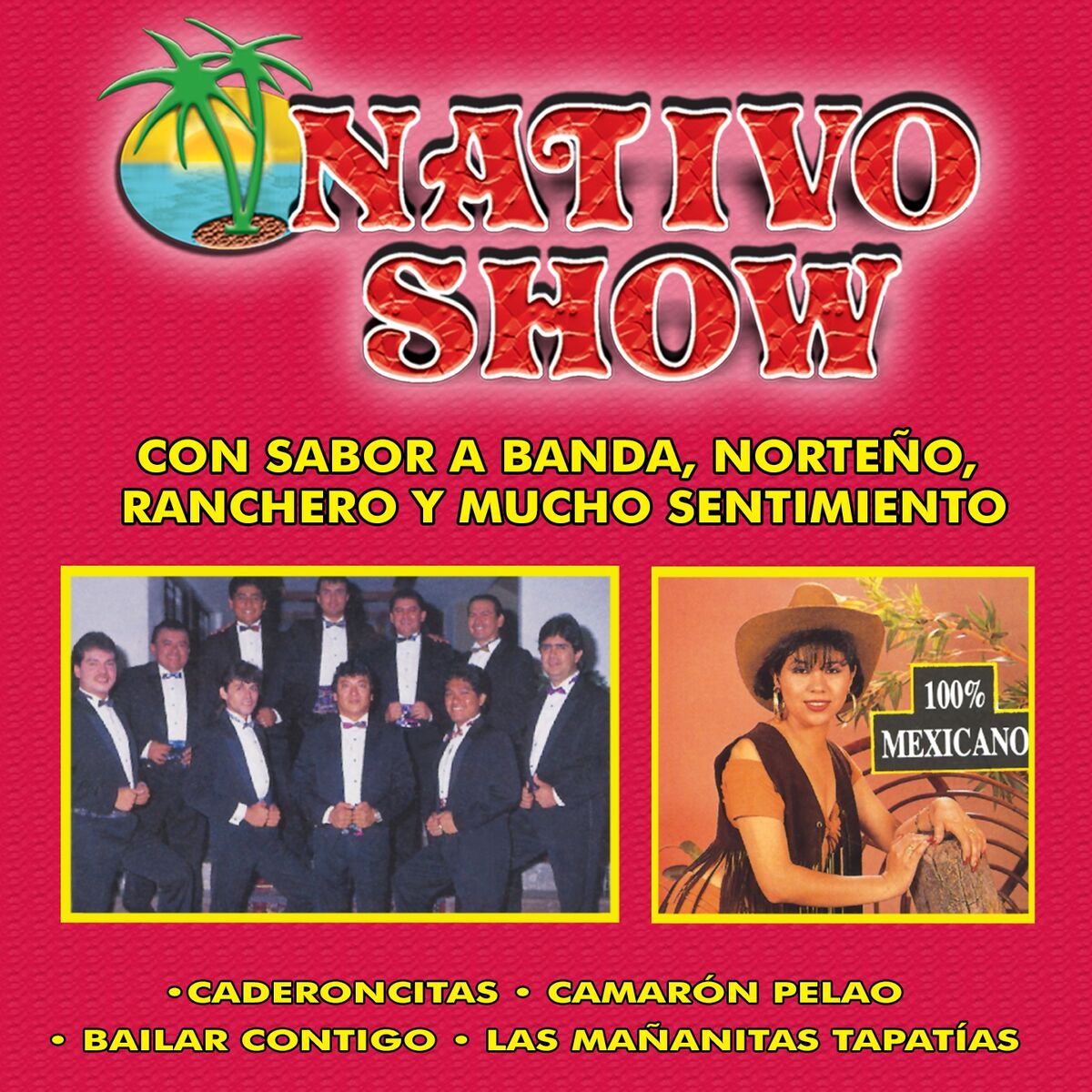 Album cover of Camarón Pelao (Con Sabor a Banda, Norteño, Ranchero y Mucho Sentimiento)