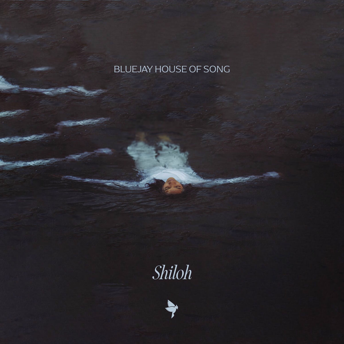 Album cover of Shiloh