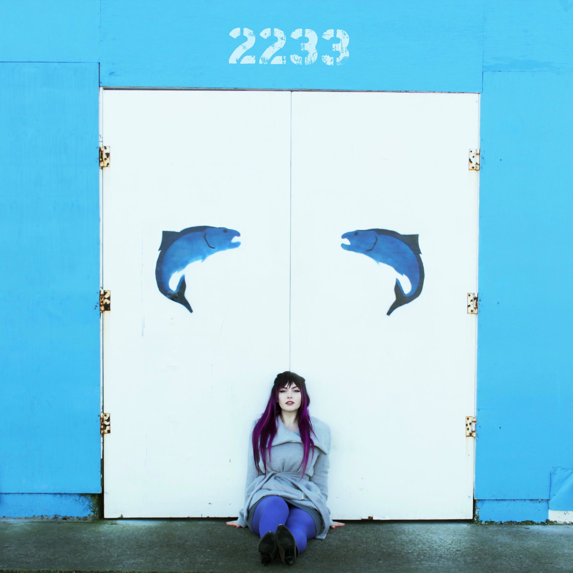 Album cover of 2233