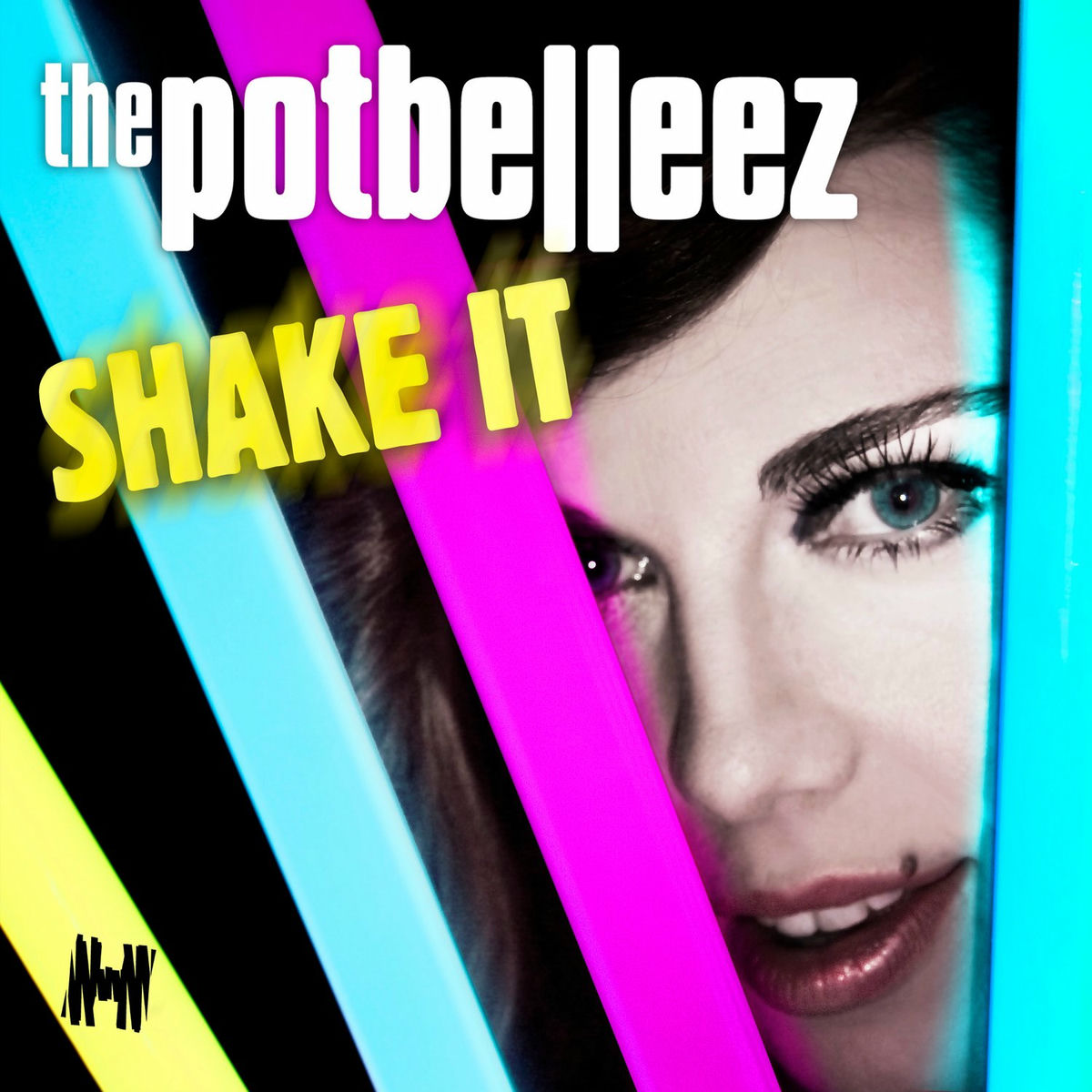 Album cover of Shake It