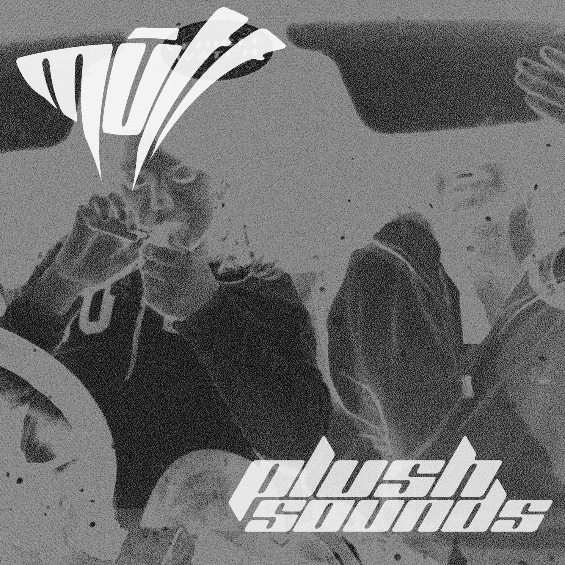 Album cover of Plush Sounds