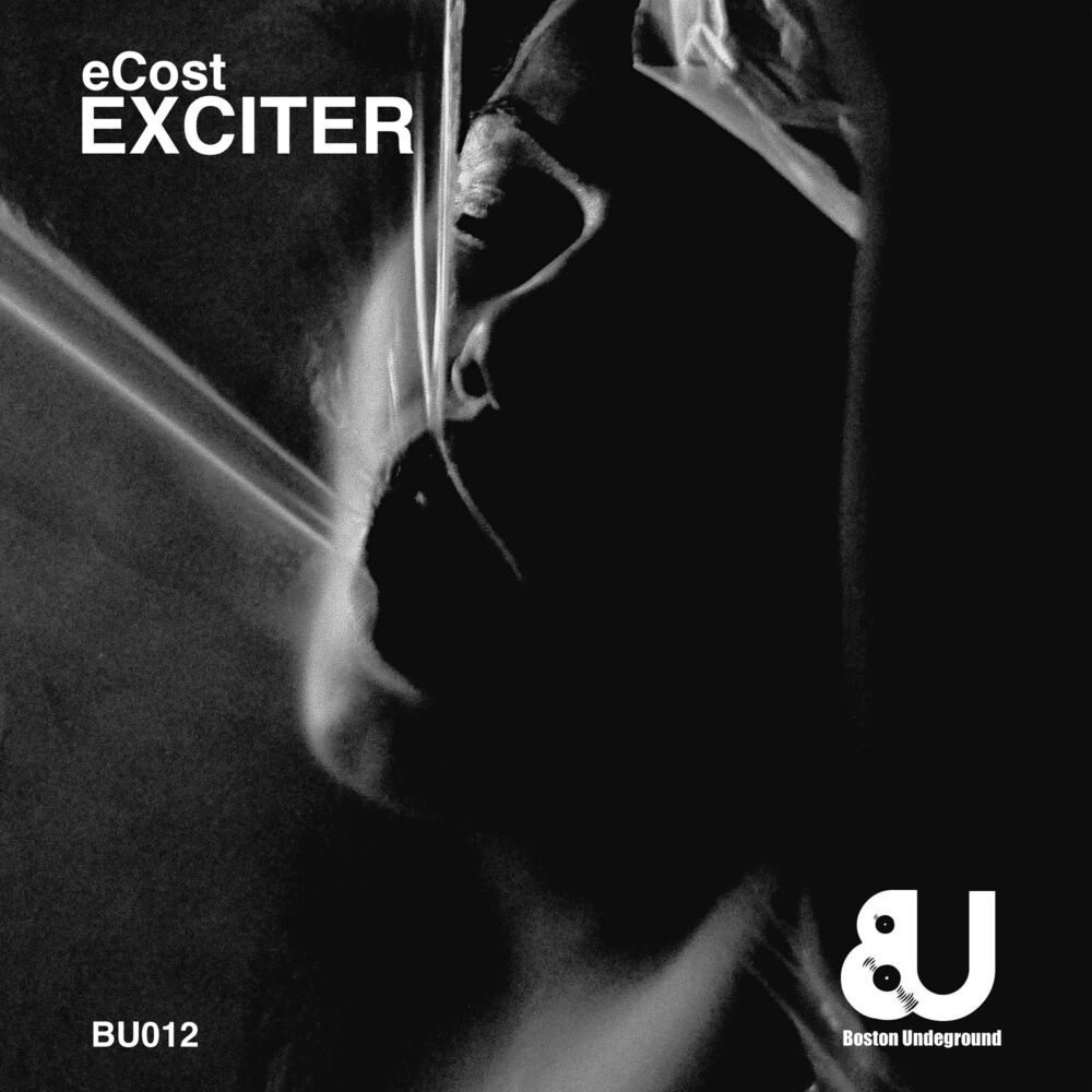 Picture of Exciter