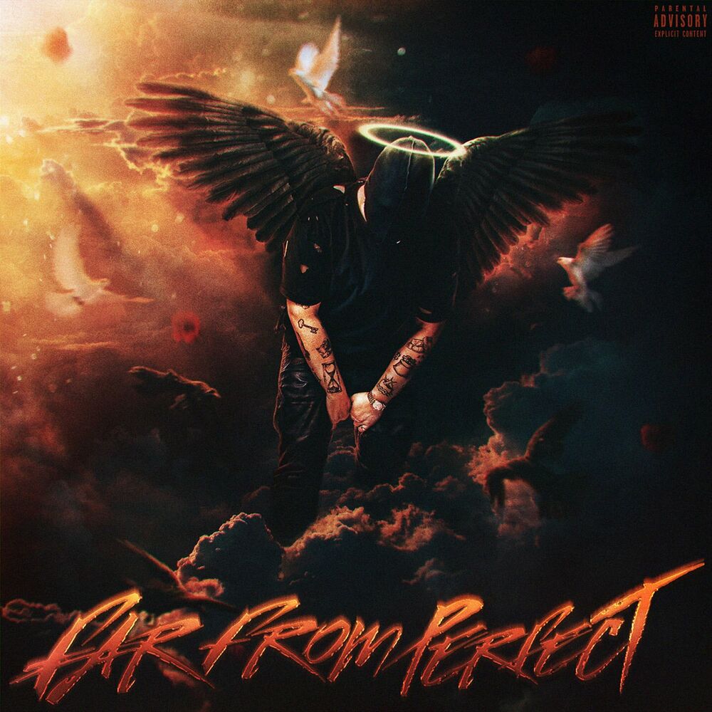 Picture of FAR FROM PERFECT