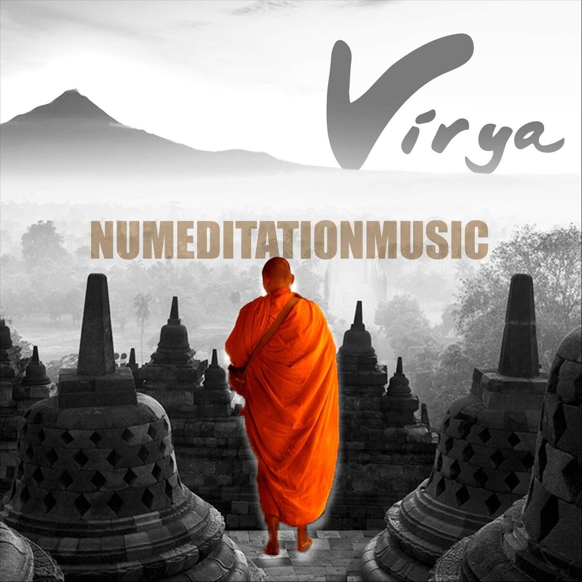 Album cover of Virya