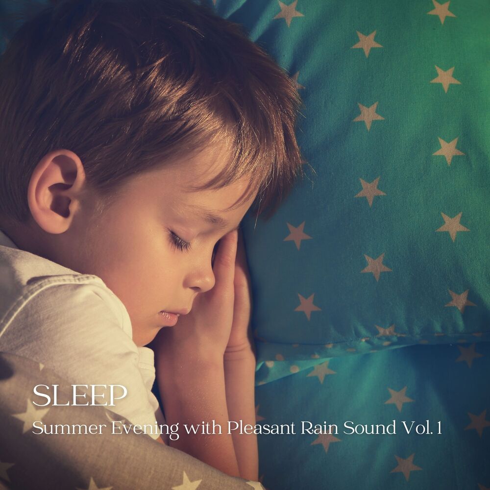 Picture of Sleep: Summer Evening with Pleasant Rain Sound Vol. 1