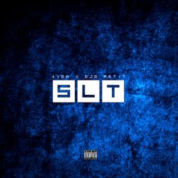Cover of SLT