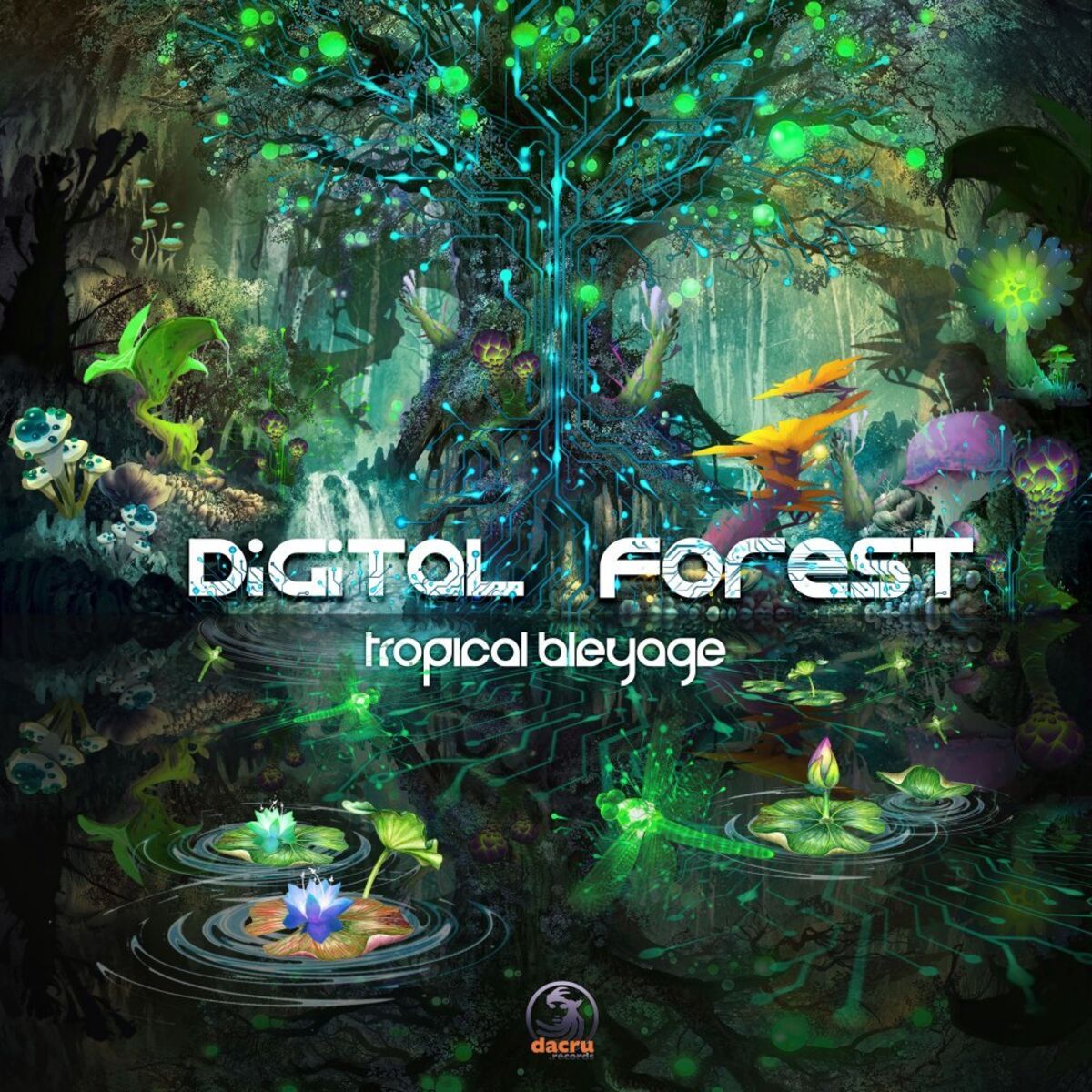 Album cover of Digital Forest
