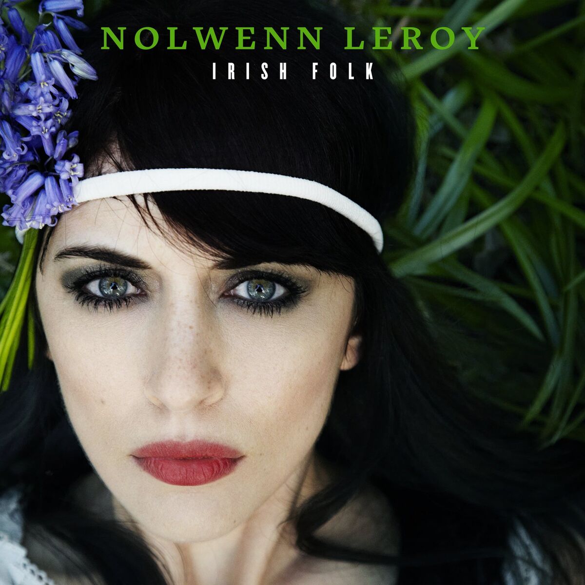 Album cover of Irish Folk