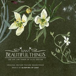 Cover of Many Beautiful Things (Original Motion Picture Soundtrack)