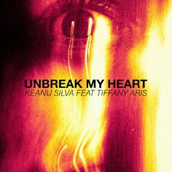 Cover of Unbreak My Heart